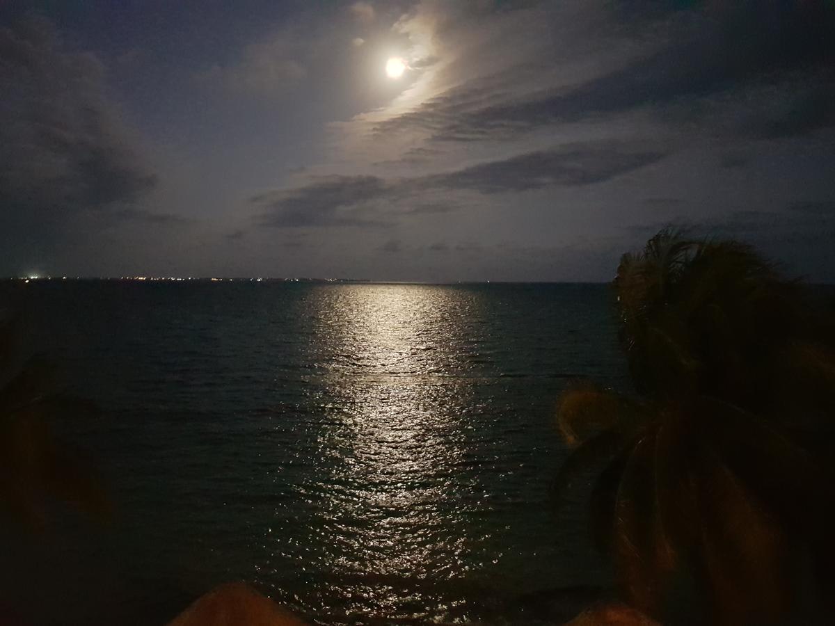 Suite Frente Al Mar Cancún Kültér fotó