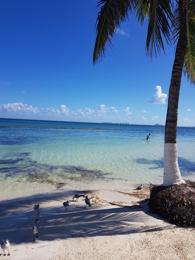 Suite Frente Al Mar Cancún Kültér fotó